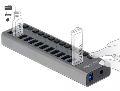 DELOCK USB hub 63738 με διακόπτες, 13x θυρών, 5Gbps, γκρι