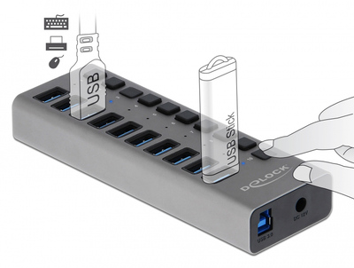 DELOCK USB hub 63670 με διακόπτες, 10x θυρών, 5Gbps, γκρι