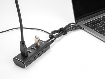 DELOCK USB hub 64233 με διακόπτες, 4 θυρών, 10Gbps, USB-C σύνδεση, μαύρο