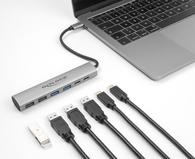 DELOCK USB hub 64232, 6x θυρών, 10Gbps, USB-C σύνδεση, γκρι