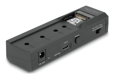 DELOCK docking station 64253 για M.2 NVMe/SATA SSD & HDD, 10Gbps, μαύρο