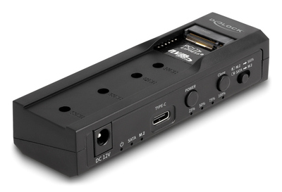 DELOCK docking station 64252 για M.2 NVMe/SATA SSD & HDD, clone function